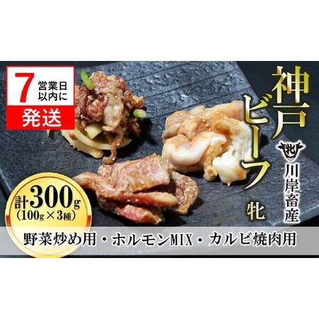 ふるさと納税 [神戸牛 牝]焼き肉用 味付け肉3種 : 計300g(100g×3種)川岸畜産 (09-27)[冷凍] 兵庫県西脇市