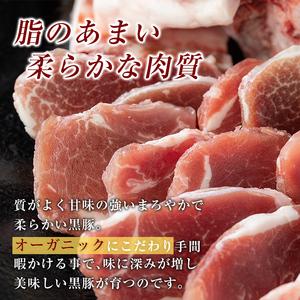 ふるさと納税 A0-357 サムギョプサル用鹿児島黒豚バラ肉(合計1kg)【米平種豚場ふくふく黒豚の里】霧島市 国産 豚肉 豚 精肉 バラ肉 豚バラ肉 .. 鹿児島県霧島市