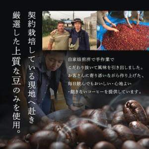 ふるさと納税 【毎月 定期便 全12回】毎月のおすすめスペシャルティコーヒー 200g×4種＋組み合わせる 200g×1種（計1kg）×12回分 毎月.. 岐阜県下呂市
