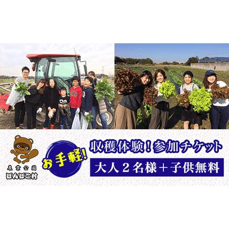 ふるさと納税 [農業公園ぽんぽこ村]お手軽収穫体験!参加チケット(大人2名様+子供無料) 千葉県木更津市
