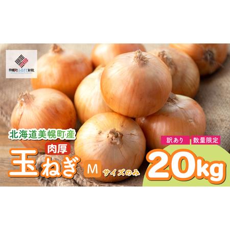 ふるさと納税 令和8年産 先行受付 数量限定訳あり品 玉ねぎ Mサイズ
