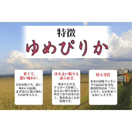 ふるさと納税 【定期便】無洗米 計15kg 5kg×3回 国産 北海道産 ゆめぴりか 最高ランク 特A ブランド米 単一原料米 白米 米 ご飯 おこめ ご.. 大阪府和泉市 