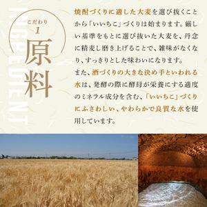 ふるさと納税 いいちこ 25度 パック(計21.6L・1.8L×12本)酒 お酒 むぎ焼酎 1800ml 麦焼酎 常温 いいちこ 三和酒類 紙パック【107305100】【.. 大分県宇佐市_1