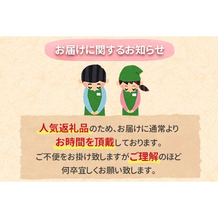 ふるさと納税 ＜12か月定期便＞【玄人の一品】うなぎ白焼き 4尾 計800g以上【G39】 宮崎県新富町｜furunavi｜05