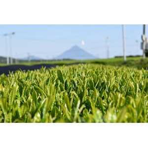 ふるさと納税 東陽園の日本銘茶紀行ティーバッグ　12種セット(大丸・松坂屋おすすめ品)【1358945】 愛知県安城市 