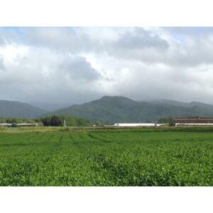 ふるさと納税 東陽園の日本銘茶紀行ティーバッグ　12種セット(大丸・松坂屋おすすめ品)【1358945】 愛知県安城市 