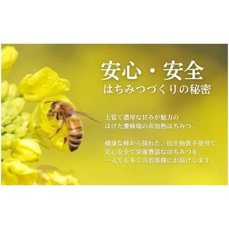 ふるさと納税 国産生はちみつ アカシア・リンゴ600g 2本セット 長野県上田市の画像