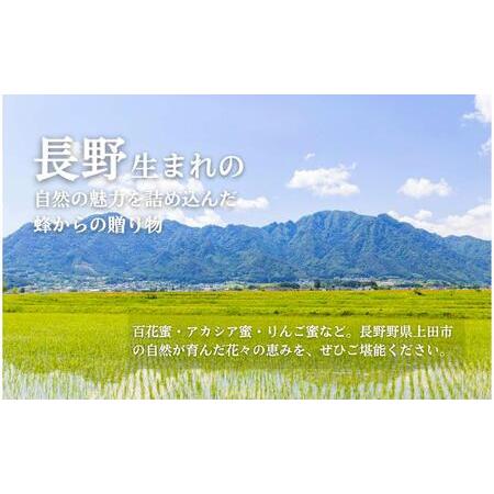 ふるさと納税 国産生はちみつ アカシア・リンゴ600g 2本セット 長野県上田市の画像