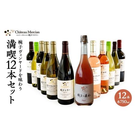 ふるさと納税 ワイン 椀子ヴィンヤードを味わう満喫 12本 セット 750ml シャトー・メルシャン 赤ワイン フルボディ 白ワイン 辛口 お酒 酒 アル.. 長野県上田市