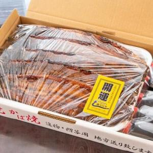 ふるさと納税 『お食事処 藤うなぎ』かば焼き5尾 国産うなぎ＜15-3a＞ 宮崎県西都市_1