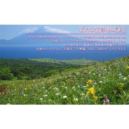 ふるさと納税 【礼文島リボンプロジェクト】北海道礼文島香深産 一夜漬粒うに（エゾバフンウニ・キタムラサキウニ　各1本） 北海道礼文町｜furunavi｜04