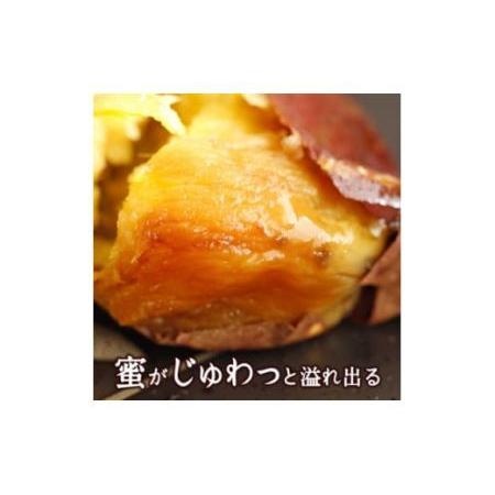 ふるさと納税 冷たい焼き芋 500g×12袋入 素材そのまま！工場直送 [0231] 千葉県印西市｜furunavi｜03