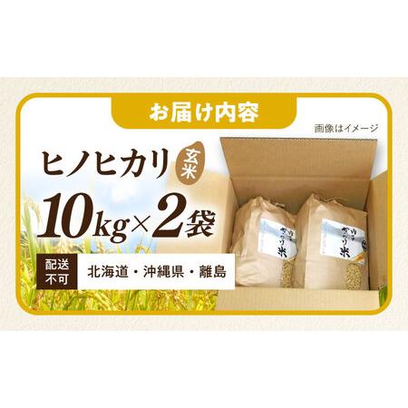 ふるさと納税 内子からり米 令和7年産ヒノヒカリ（玄米10kg×2袋）／ お米 こめ 玄米 精米 食品 令和7年度 ヒノヒカリ 送料無料【株式会社内.. 愛媛県内子町の画像