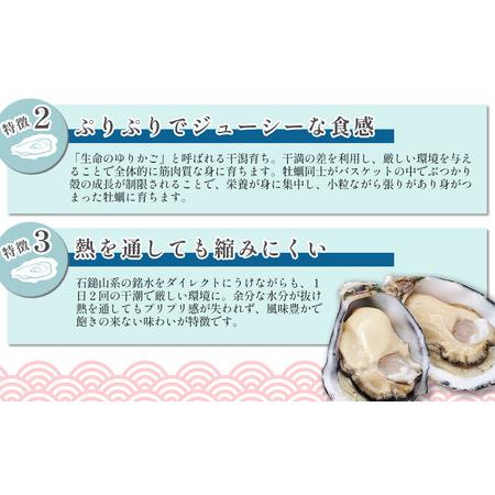 ふるさと納税 瀬戸内海産 殻付き牡蠣 「瑞宝（ずいほう）」＜40個入り＞ 生食可 真ガキ シングルシード 養殖 生牡蠣 愛媛県西条市 ↓↓↓