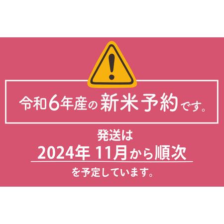 ふるさと納税 ※令和6年産 新米予約※《定期便12ヶ月》【白米】通算5回特A 秋田県産ひとめぼれ 計10kg (5kg×2袋)【2024年秋ごろ出荷予.. 秋田県由利本荘市｜furunavi｜03