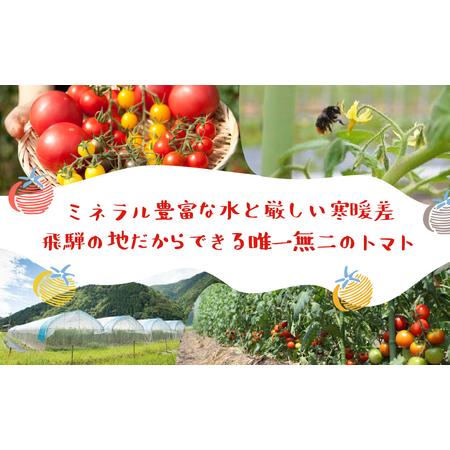 ふるさと納税 《2026年先行予約》 雪解け水で育ったカラフルな濃厚ミニトマト 2kg トマト 長九郎農園 [A0008_26] syun116 岐阜県飛騨市_1