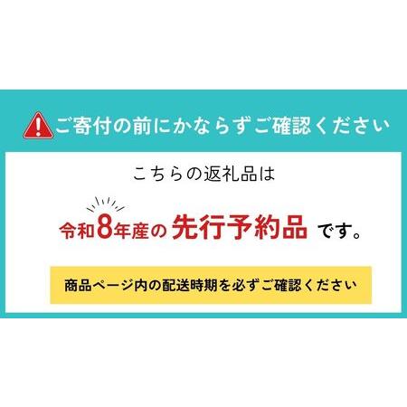 ふるさと納税 《2026年先行予約》 雪解け水で育ったカラフルな濃厚ミニトマト 2kg トマト 長九郎農園 [A0008_26] syun116 岐阜県飛騨市_4