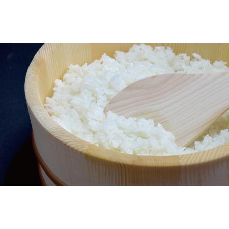 ふるさと納税 23-897．【令和5年産新米・早期受付・5回定期便】四万十市の中山間地域の里山で育まれる貴重なお米「しまんとのお米（ヒノヒ.. 高知県四万十市