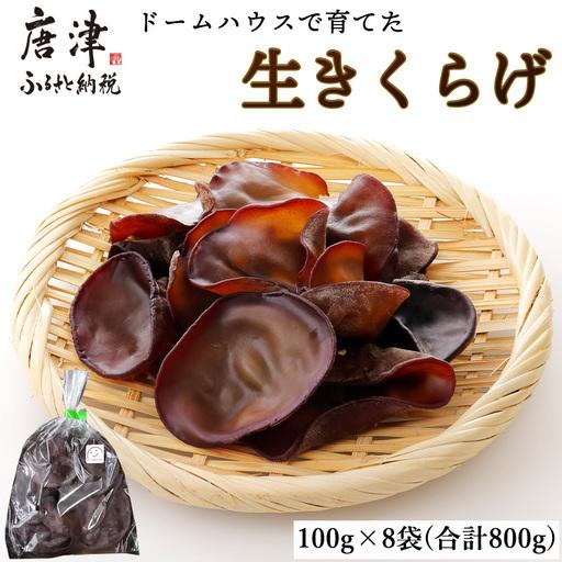 ふるさと納税 ドームハウスで育てたきくらげ 100g×8袋(合計800g) プリプリ食感 小分け 生きくらげ 木耳 きのこ 料理 調理 佐賀県唐津市