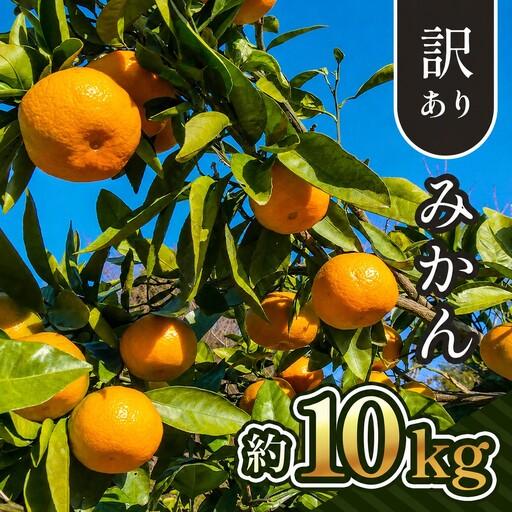 ふるさと納税 [ 先行予約 ] 訳あり 熊本県産 温州 みかん 約 10kg 熊本県和水町