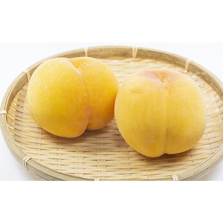 ふるさと納税 【先行予約 令和8年度発送】山形県産 黄桃 2kg もも モモ 桃 デザート フルーツ 果物 くだもの 果実 食品 山形県 FSY-0685 山形県の画像