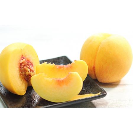 ふるさと納税 【先行予約 令和8年度発送】山形県産 黄桃 2kg もも モモ 桃 デザート フルーツ 果物 くだもの 果実 食品 山形県 FSY-0685 山形県の画像