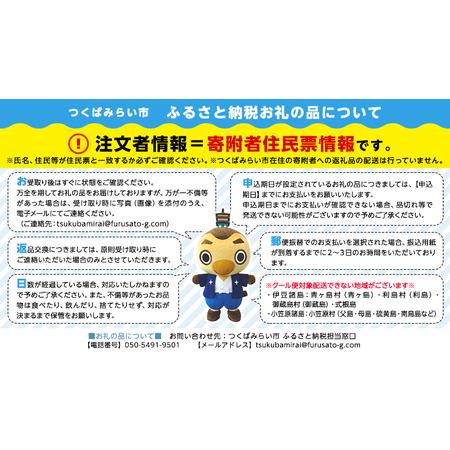 ふるさと納税 【 お中元 熨斗付 】シャインマスカット1房 【令和6年8月から発送開始】（県内共通返礼品：かすみがうら市産） シャインマ.. 茨城県つくばみらい市｜furunavi｜02