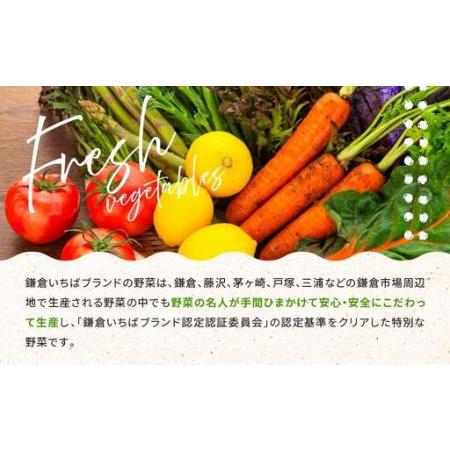 ふるさと納税 【3ヶ月毎計4回 定期便】四季を味わえる「鎌倉いちばブランド」新鮮お野菜詰め合わせセット ｜ 人気 野菜 詰合せ 詰め合わせ セ.. 神奈川県鎌倉市_1