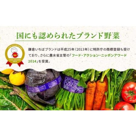 ふるさと納税 【3ヶ月毎計4回 定期便】四季を味わえる「鎌倉いちばブランド」新鮮お野菜詰め合わせセット ｜ 人気 野菜 詰合せ 詰め合わせ セ.. 神奈川県鎌倉市_3