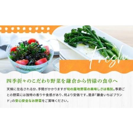 ふるさと納税 【3ヶ月毎計4回 定期便】四季を味わえる「鎌倉いちばブランド」新鮮お野菜詰め合わせセット ｜ 人気 野菜 詰合せ 詰め合わせ セ.. 神奈川県鎌倉市_4