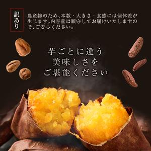 ふるさと納税 焼き芋 冷凍焼き芋 紅はるか 安納芋 シルクスイート 3種セット【甘いも販売所】a0001-3S3 鹿児島県姶良市の画像