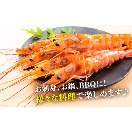 ふるさと納税 AE098.【お刺身用】有頭赤海老（約2キロ） 福岡県新宮町_1