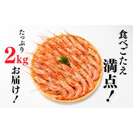 ふるさと納税 AE098.【お刺身用】有頭赤海老（約2キロ） 福岡県新宮町_2