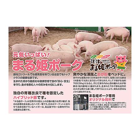 ふるさと納税 【10カ月定期便】まる姫ポーク 粗ミンチ 3kg 島根県江津市｜furunavi｜05