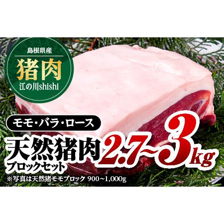 ふるさと納税 江の川shishi ブロックセット 2.7kg〜3kg 猪肉 いのしし肉 イノシシ肉 ジビエ ロース モモ バラ 煮込み用 角煮 焼肉用 島根県江津市