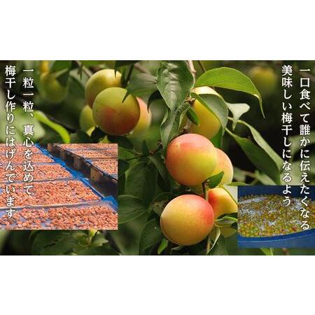 ふるさと納税 紀州南高梅　蜂蜜つぶれ梅　塩分5％　1kg（500g×２) 和歌山県上富田町｜furunavi｜05