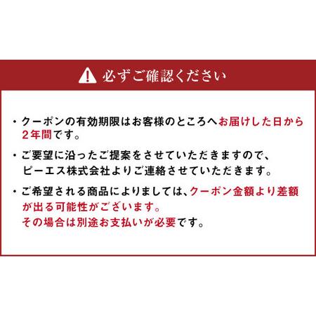 ふるさと納税 ピーエスクーポン 10万円分×25枚 (カタログ3冊付き) 快適空間 電気ヒーター ヒーター 安全 暖房 冷房 北海道北広島市｜furunavi｜04