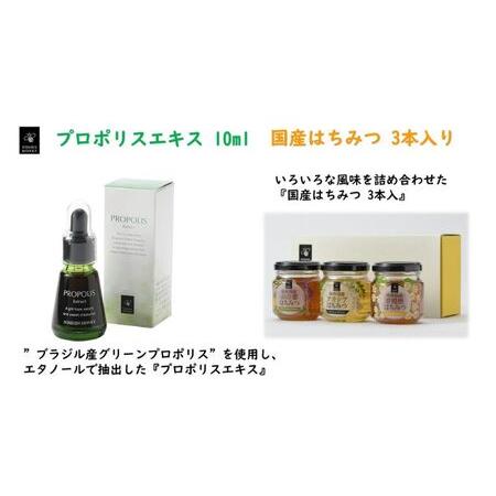ふるさと納税 プロポリスエキス 10ml・国産はちみつ3本入り セット 天然 蜂蜜 ハチミツ 加工食品 フラボノイド 桂皮酸誘導体 百花蜜 アカシア.. 岐阜県安八町の画像
