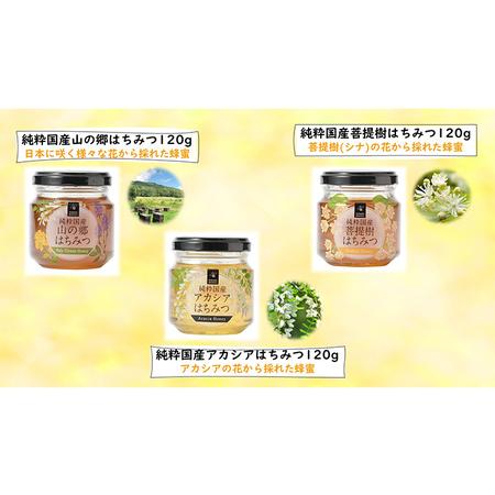 ふるさと納税 プロポリスエキス 10ml・国産はちみつ3本入り セット 天然 蜂蜜 ハチミツ 加工食品 フラボノイド 桂皮酸誘導体 百花蜜 アカシア.. 岐阜県安八町の画像