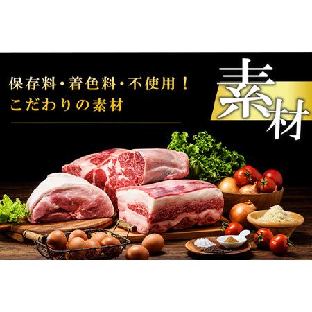 ふるさと納税 1957年創業 特上ハンバーグ 140g×12個(合計1.68kg) 化粧箱「唐津バーグ」商標登録済!! 冷凍真空パック 惣菜 ギフト 佐賀県唐津市