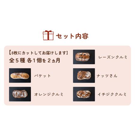 ふるさと納税 【2ヵ月定期便】名取 閖上 の ぱんやこてつ 手作り 国産小麦のハード系パンセット 8枚カットしてお届け 宮城県名取市
