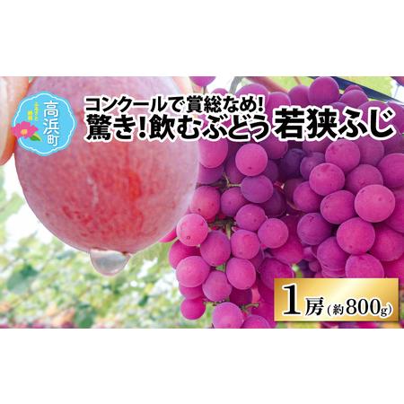 ふるさと納税 [2026年先行予約]種なし ぶどう 巨峰 若狭ふじ 1房(約800g)| ぶどう 福井県高浜町