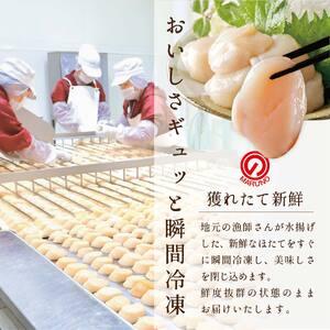 ふるさと納税 隔月2回定期便 北海道 野付産 漁協直送 ホタテ 特大ホタテ500g 野付 貝柱 北海道別海町の画像