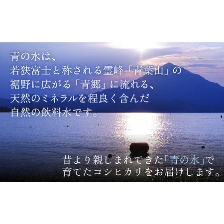 ふるさと納税 【令和5年産】【6ヶ月連続定期便】一等米コシヒカリ 若狭富士の米 5kg×6回 計30k 福井県高浜町｜furunavi｜02