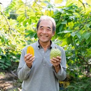 ふるさと納税 御坊市産　南国フルーツ　アテモヤ　3〜5個入り（1kg以上） 和歌山県御坊市｜furunavi｜05