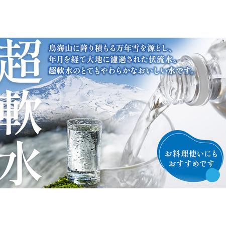 ふるさと納税 《定期便6ヶ月》鳥海山自然水(500ml)30本×6か月連続 計180本 秋田県由利本荘市の画像