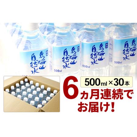 ふるさと納税 《定期便6ヶ月》鳥海山自然水(500ml)30本×6か月連続 計180本 秋田県由利本荘市の画像
