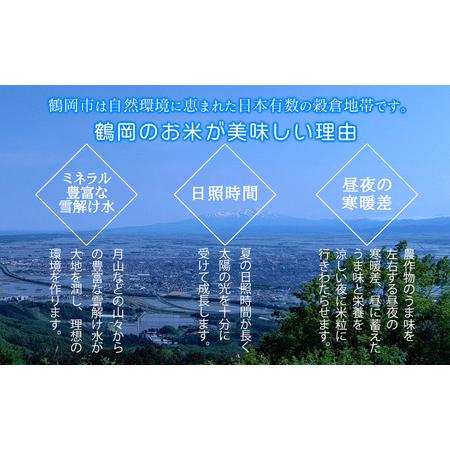 ふるさと納税 【令和6年産先行予約】【定期便】 特別栽培米 山形つや姫