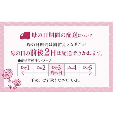 ふるさと納税 ドライフラワー【額】花束 ギフト アレンジメント オリジナル おしゃれ The Plants 奈良県三宅町_1