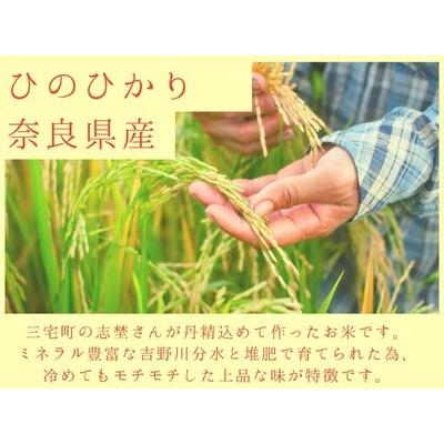 ふるさと納税 【令和５年産】志埜さんが丹精込めて作った「ひのひかり」白米10kg 奈良県 三宅町 ヒノヒカリ 奈良県三宅町｜furunavi｜04